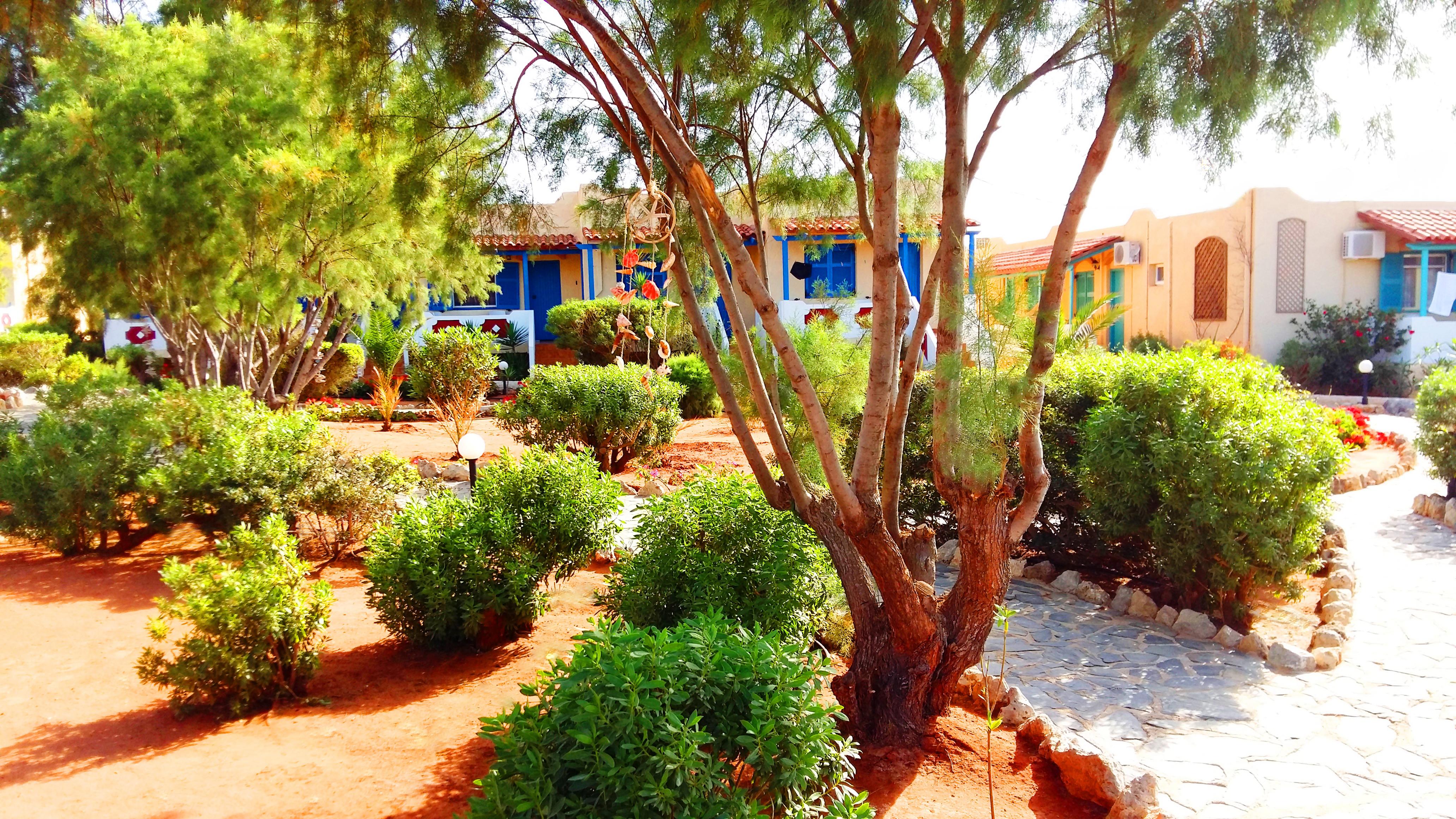 Zorbas Village Aparthotel 2*